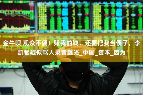 金牛呗 观众不傻！赚我的钱，还要把我当傻子，李凯馨疑似骂人录音曝光_中国_资本_因为