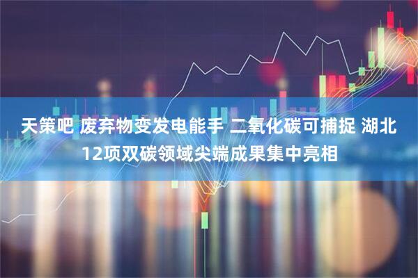天策吧 废弃物变发电能手 二氧化碳可捕捉 湖北12项双碳领域尖端成果集中亮相